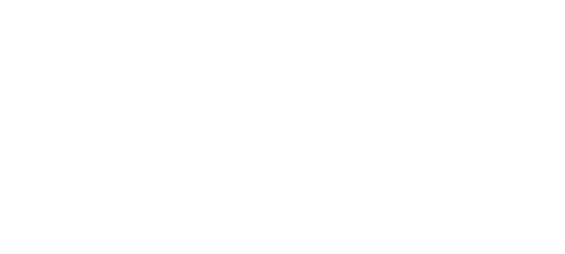 blue standard logo
